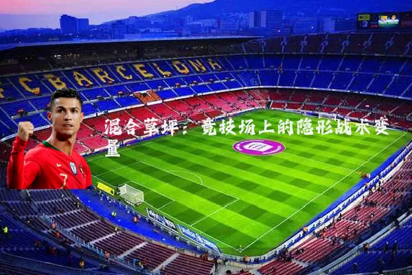 混合草坪：竞技场上的隐形战术变量